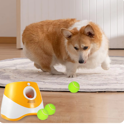 Automatic Dog Ball Launcher